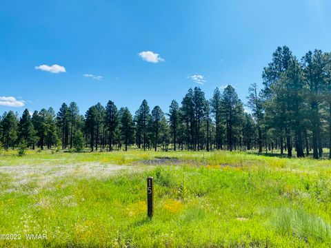 Tiny photo for 9581 Sierra Springs Drive, Pinetop, AZ 85935 (MLS # 242514)