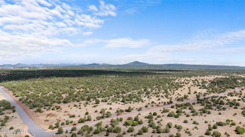 Tiny photo for 000 N 40th Street, Show Low, AZ 85901 (MLS # 261787)