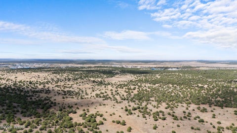 Tiny photo for 000 N 40th Street, Show Low, AZ 85901 (MLS # 261787)