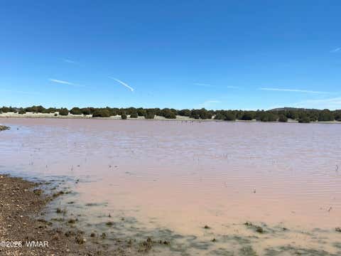 Tiny photo for 000 N 40th Street, Show Low, AZ 85901 (MLS # 261787)