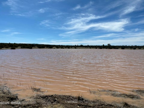 Tiny photo for 000 N 40th Street, Show Low, AZ 85901 (MLS # 261787)