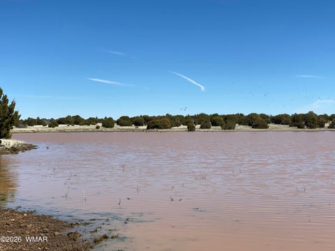 Tiny photo for 000 N 40th Street, Show Low, AZ 85901 (MLS # 261787)
