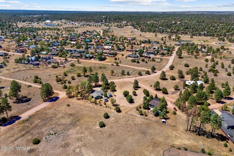 Tiny photo for 2727 Pine Meadow Drive, Overgaard, AZ 85933 (MLS # 262081)