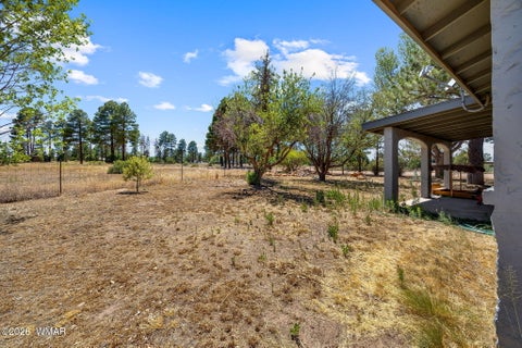 Tiny photo for 2727 Pine Meadow Drive, Overgaard, AZ 85933 (MLS # 262081)