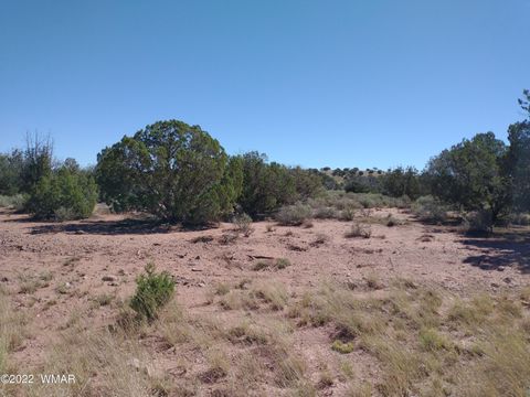 Tiny photo for 4247 Indian Bend Road, Snowflake, AZ 85937 (MLS # 243822)
