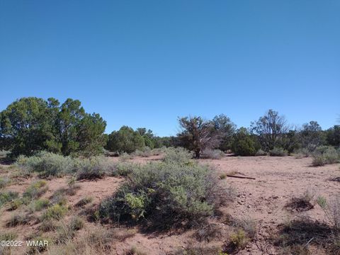 Tiny photo for 4247 Indian Bend Road, Snowflake, AZ 85937 (MLS # 243822)