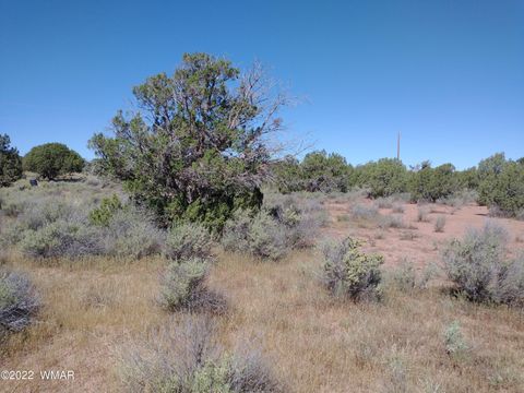 Tiny photo for 4247 Indian Bend Road, Snowflake, AZ 85937 (MLS # 243822)