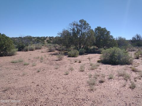 Tiny photo for 4247 Indian Bend Road, Snowflake, AZ 85937 (MLS # 243822)