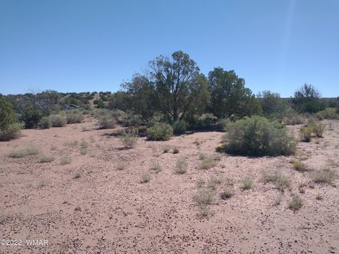 Tiny photo for 4247 Indian Bend Road, Snowflake, AZ 85937 (MLS # 243822)
