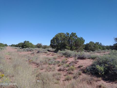 Tiny photo for 4247 Indian Bend Road, Snowflake, AZ 85937 (MLS # 243822)