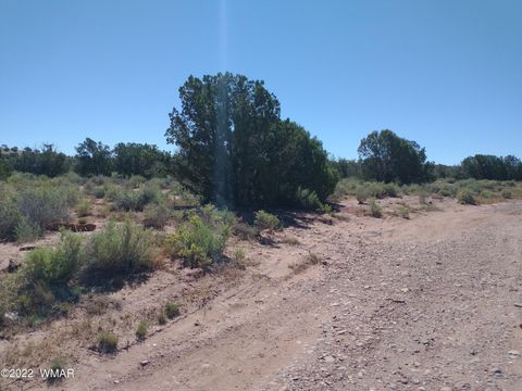 Tiny photo for 4247 Indian Bend Road, Snowflake, AZ 85937 (MLS # 243822)