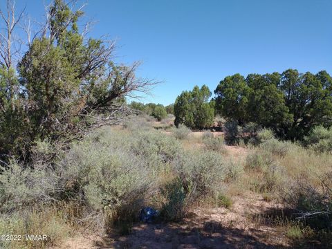 Tiny photo for 4247 Indian Bend Road, Snowflake, AZ 85937 (MLS # 243822)