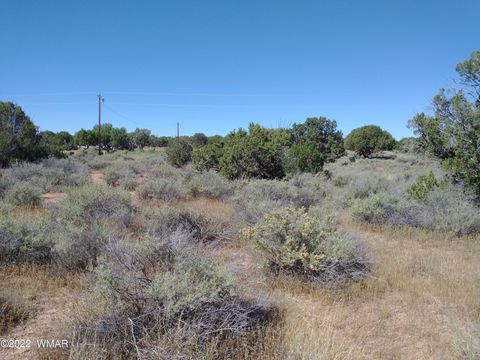 Tiny photo for 4247 Indian Bend Road, Snowflake, AZ 85937 (MLS # 243822)