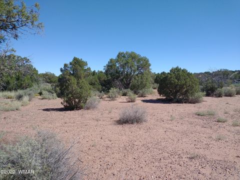 Tiny photo for 4247 Indian Bend Road, Snowflake, AZ 85937 (MLS # 243822)