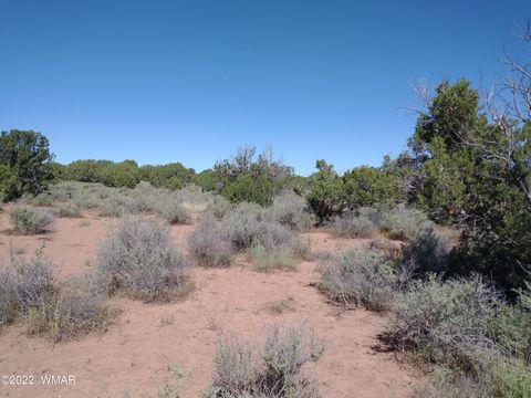 Tiny photo for 4247 Indian Bend Road, Snowflake, AZ 85937 (MLS # 243822)