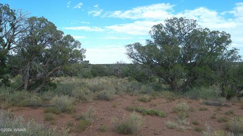 Photo of 4389 Indian Bend Road, Snowflake, AZ 85937 (MLS # 253316)