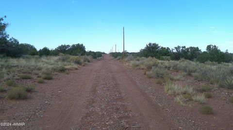 Tiny photo for 4389 Indian Bend Road, Snowflake, AZ 85937 (MLS # 253316)