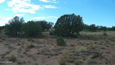 Tiny photo for 4389 Indian Bend Road, Snowflake, AZ 85937 (MLS # 253316)
