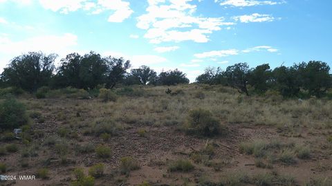 Tiny photo for 4389 Indian Bend Road, Snowflake, AZ 85937 (MLS # 253316)