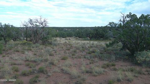 Tiny photo for 4389 Indian Bend Road, Snowflake, AZ 85937 (MLS # 253316)