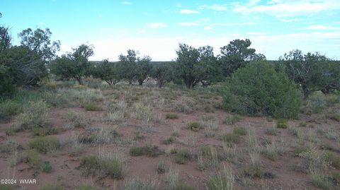 Tiny photo for 4389 Indian Bend Road, Snowflake, AZ 85937 (MLS # 253316)
