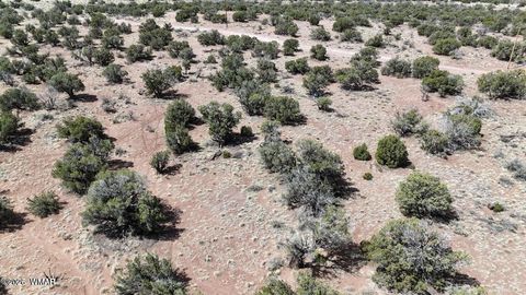 Tiny photo for 4389 S Sorrel, Snowflake, AZ 85937 (MLS # 259322)