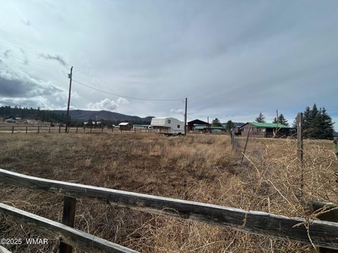 Tiny photo for 29 County Road 2106, Alpine, AZ 85920 (MLS # 258698)