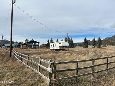 Tiny photo for 29 County Road 2106, Alpine, AZ 85920 (MLS # 258698)