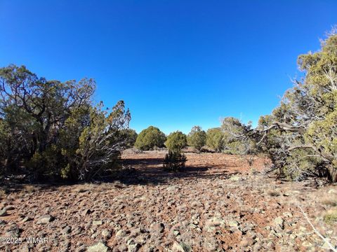 Tiny photo for 5 N8716, Concho, AZ 85924 (MLS # 258966)