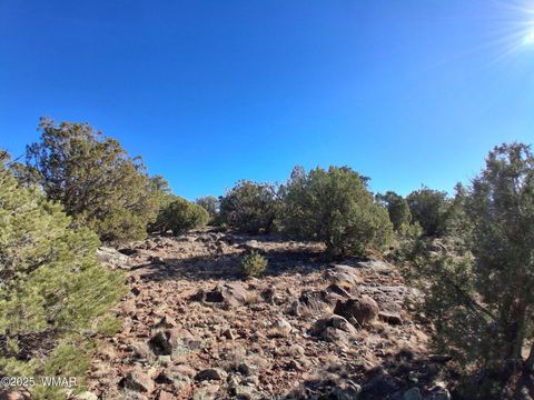 Tiny photo for 5 N8716, Concho, AZ 85924 (MLS # 258966)