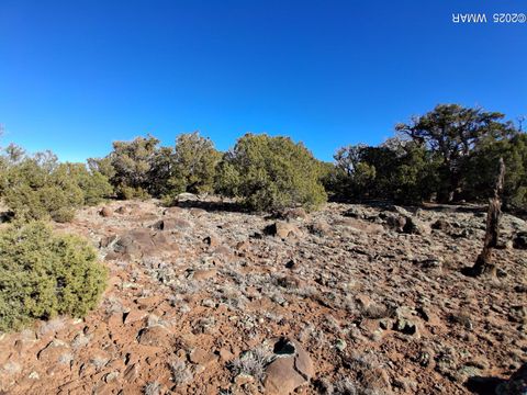 Tiny photo for 5 N8716, Concho, AZ 85924 (MLS # 258966)