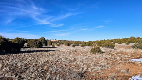 Tiny photo for 4964 Morning Glory Street, Clay Springs, AZ 85923 (MLS # 259343)