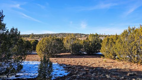 Tiny photo for 4964 Morning Glory Street, Clay Springs, AZ 85923 (MLS # 259343)