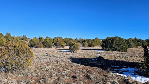 Tiny photo for 4964 Morning Glory Street, Clay Springs, AZ 85923 (MLS # 259343)