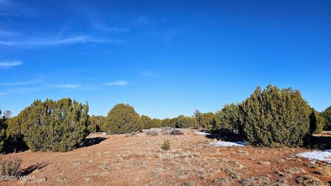 Tiny photo for 4964 Morning Glory Street, Clay Springs, AZ 85923 (MLS # 259343)