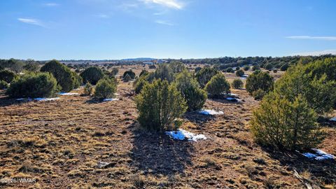 Tiny photo for 4964 Morning Glory Street, Clay Springs, AZ 85923 (MLS # 259343)