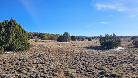 Tiny photo for 4964 Morning Glory Street, Clay Springs, AZ 85923 (MLS # 259343)