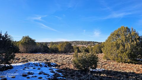 Tiny photo for 4964 Morning Glory Street, Clay Springs, AZ 85923 (MLS # 259343)