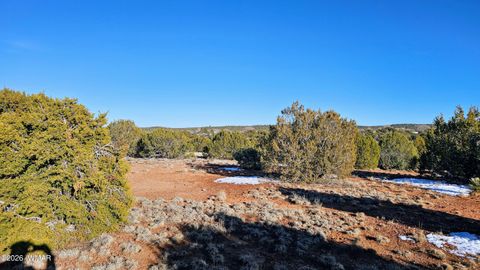 Tiny photo for 4964 Morning Glory Street, Clay Springs, AZ 85923 (MLS # 259343)