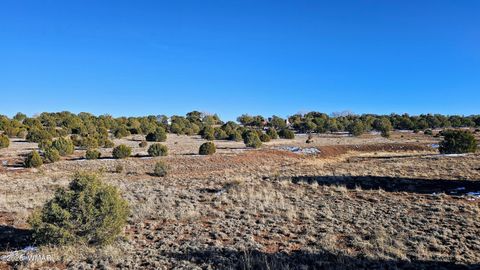 Tiny photo for 4964 Morning Glory Street, Clay Springs, AZ 85923 (MLS # 259343)