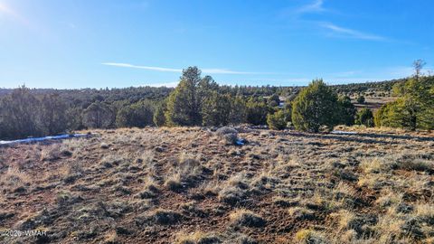 Photo of 4964 Morning Glory Street, Clay Springs, AZ 85923 (MLS # 259343)