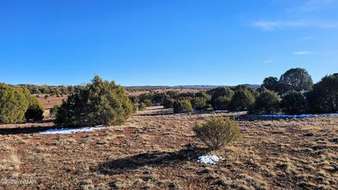 Tiny photo for 4964 Morning Glory Street, Clay Springs, AZ 85923 (MLS # 259343)
