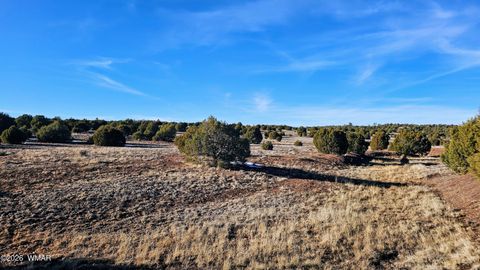 Tiny photo for 4964 Morning Glory Street, Clay Springs, AZ 85923 (MLS # 259343)