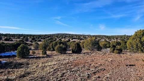 Tiny photo for 4964 Morning Glory Street, Clay Springs, AZ 85923 (MLS # 259343)