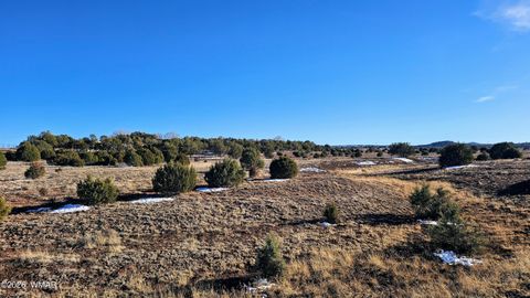 Tiny photo for 4964 Morning Glory Street, Clay Springs, AZ 85923 (MLS # 259343)