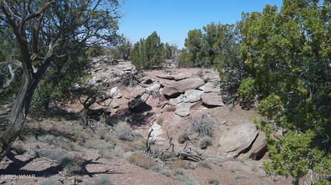 Tiny photo for 8581 Justin Lane, Snowflake, AZ 85937 (MLS # 255402)