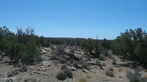 Tiny photo for 8581 Justin Lane, Snowflake, AZ 85937 (MLS # 255402)