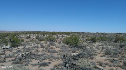 Tiny photo for 8581 Justin Lane, Snowflake, AZ 85937 (MLS # 255402)