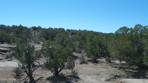 Tiny photo for 8581 Justin Lane, Snowflake, AZ 85937 (MLS # 255402)