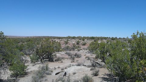 Photo of 8581 Justin Lane, Snowflake, AZ 85937 (MLS # 255402)
